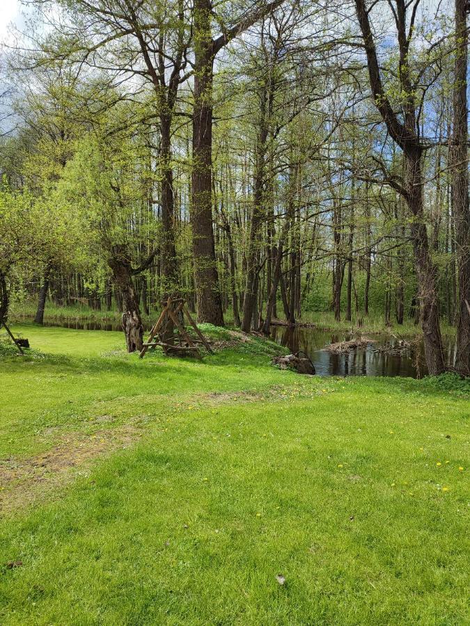 Agroturystyka Kajaki Sauna Pierogi Bakalarzewo Exteriér fotografie
